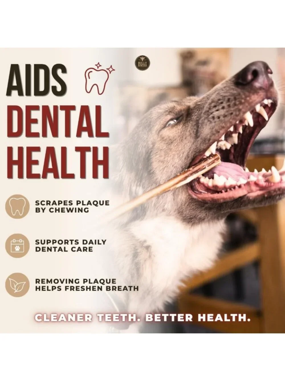 Premium Odor-Free Bully Sticks 12